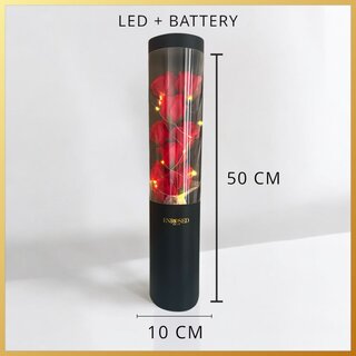 Rode roosjes met led verlichting