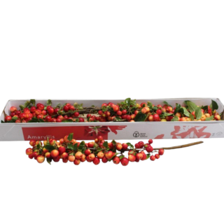 Takken met appeltjes (per 5st)