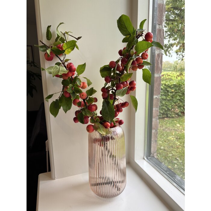 Takken met appeltjes (per 5st)