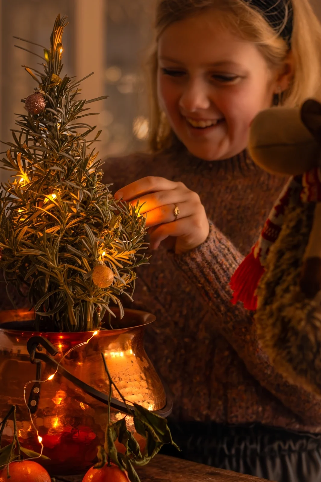 Lavandula angustifolia 'Christmas Tree' - Lavendel kerstboompje P15  Lavandula angustifolia 'Christmas Tree' - Lavendel kerstboompje P15