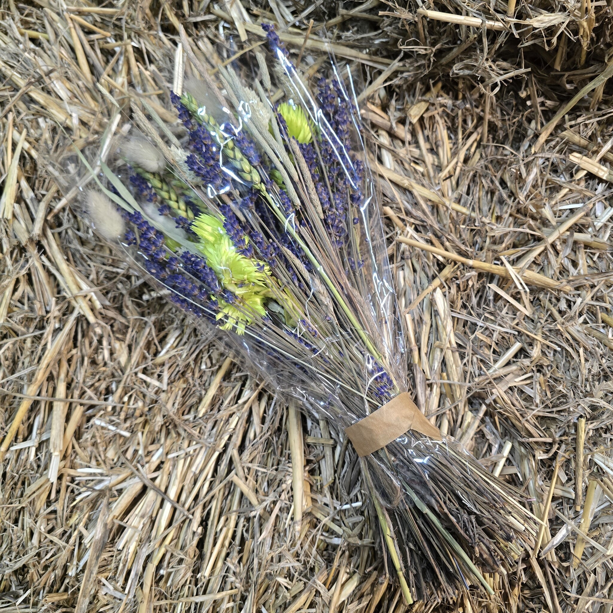 Droogbloemboeket Lavendel  Droogbloemboeket Lavendel