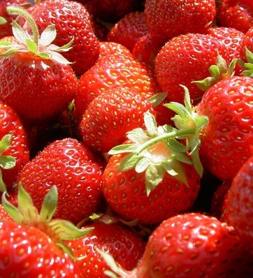 Aardbei hangpot Tenira P25