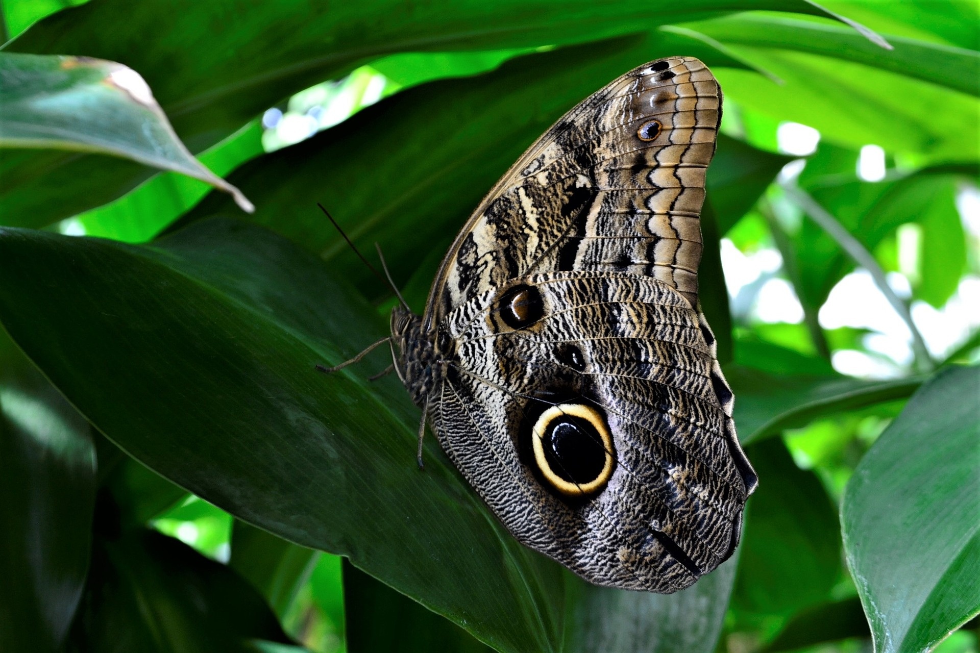 Natuurwijnen van Baroloco Di Pepe