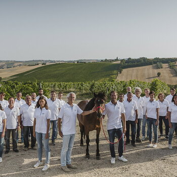 Azienda Agraria Guerrieri