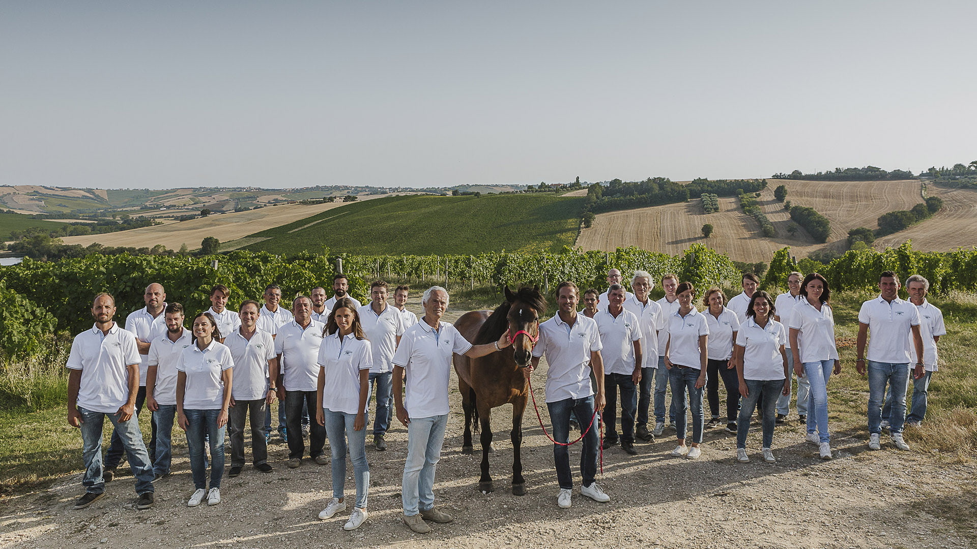 Wijnen van Azienda Agraria Guerrieri