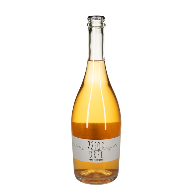 Ferracane Fodree 2023