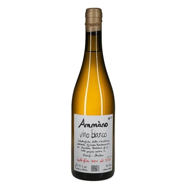 Cantine Barbera Ammano