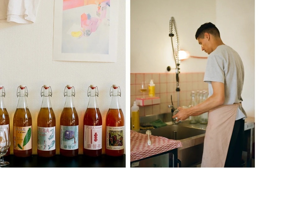 FIGA Kombucha – Natuurlijke en Probiotische Kombucha Innovaties