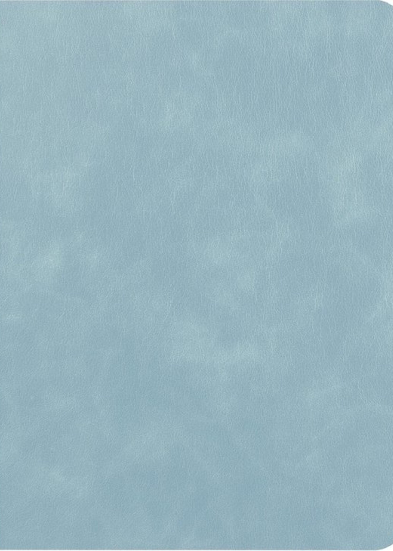 BTH Hoes Geschikt voor iPad 10.2 2019 Hoes Luxe Book Case Met Uitsparing Geschikt voor Apple Pencil - Hoesje Geschikt voor iPad 7 Hoesje Cover Case - Blauw