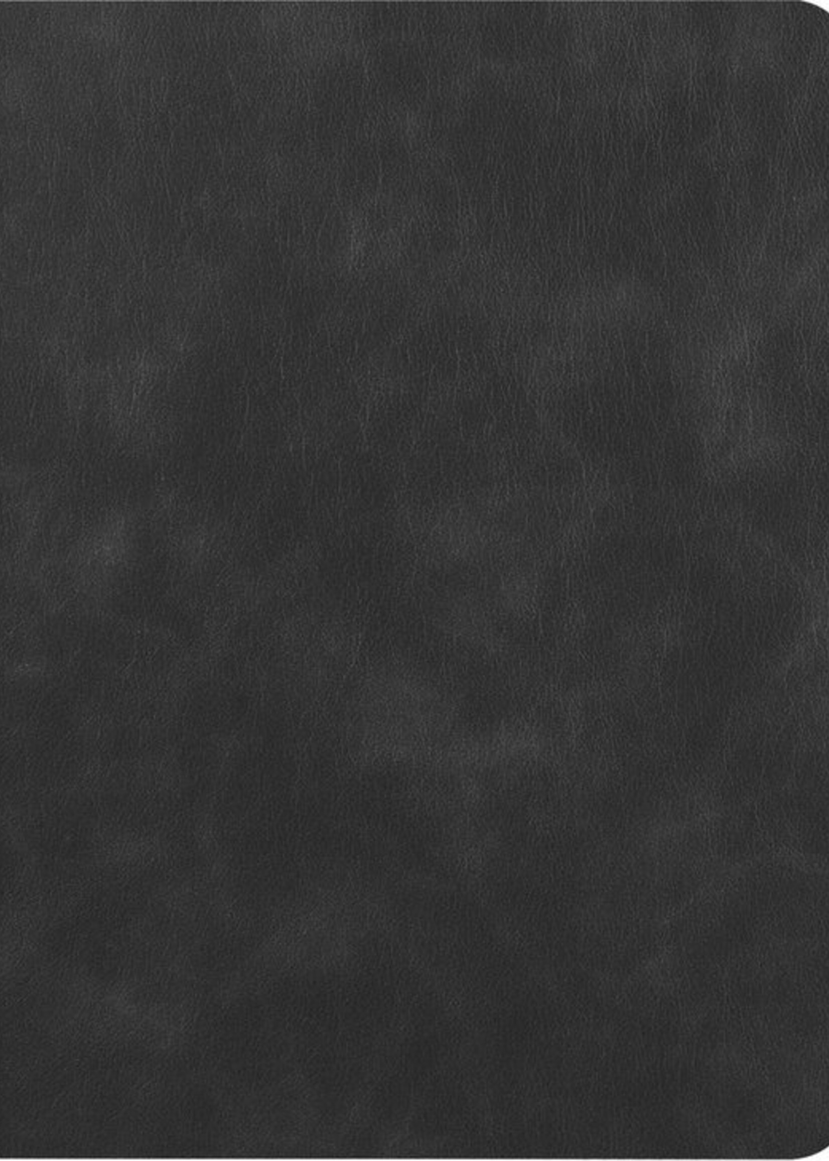 BTH Hoes Geschikt voor iPad 10.2 2019 Hoes Luxe Book Case Met Uitsparing Geschikt voor Apple Pencil - Hoesje Geschikt voor iPad 7 Hoesje Cover Case - Zwart