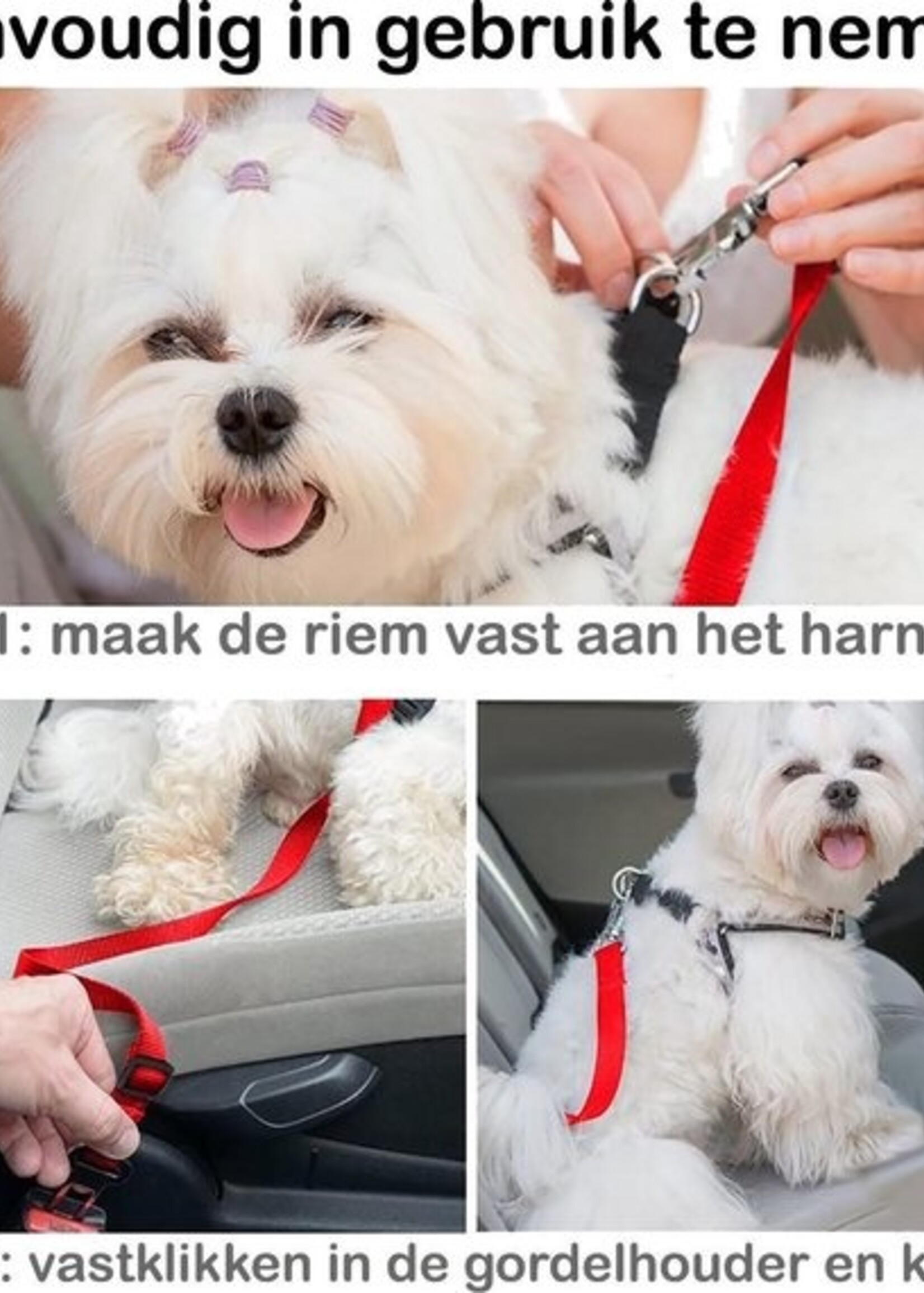 BTH Hondenriem Autogordel Hondentuig Hondengordel Verstelbaar Rood - 2X