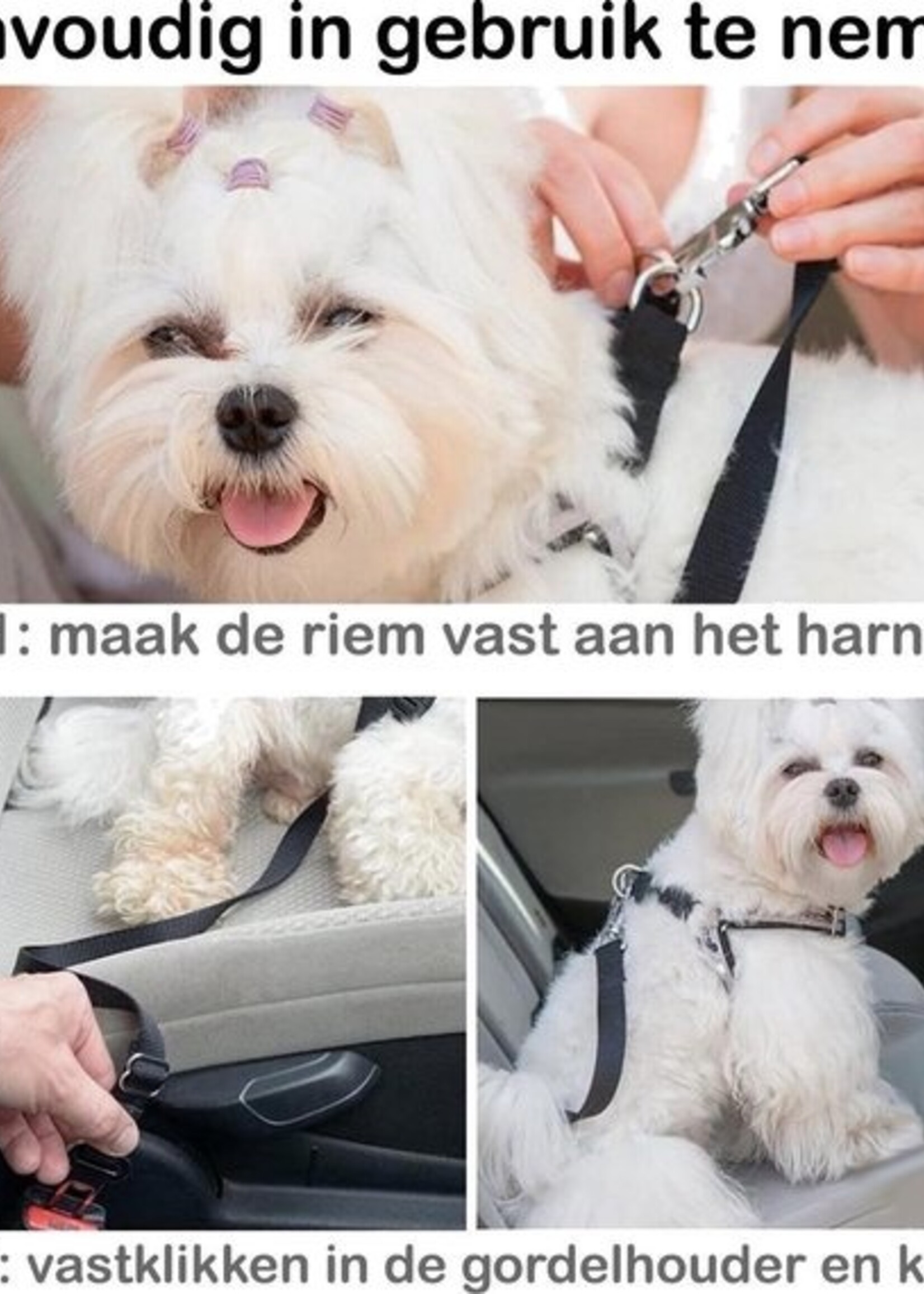 BTH Hondenriem Autogordel Hondentuig Hondengordel Verstelbaar Zwart - 3X