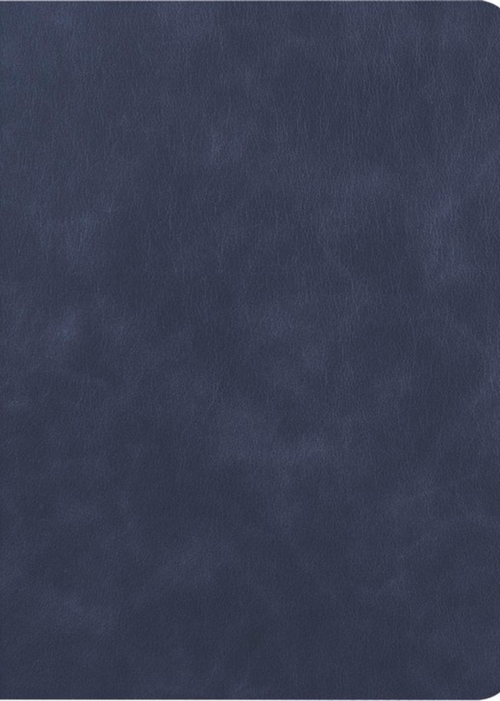 BTH Hoes Geschikt voor iPad 10.2 2019/2020 Hoes Luxe Book Case Met Uitsparing Geschikt voor Apple Pencil Met Screenprotector - Hoesje Geschikt voor iPad 7/8 Hoesje Cover Case - Donkerblauw