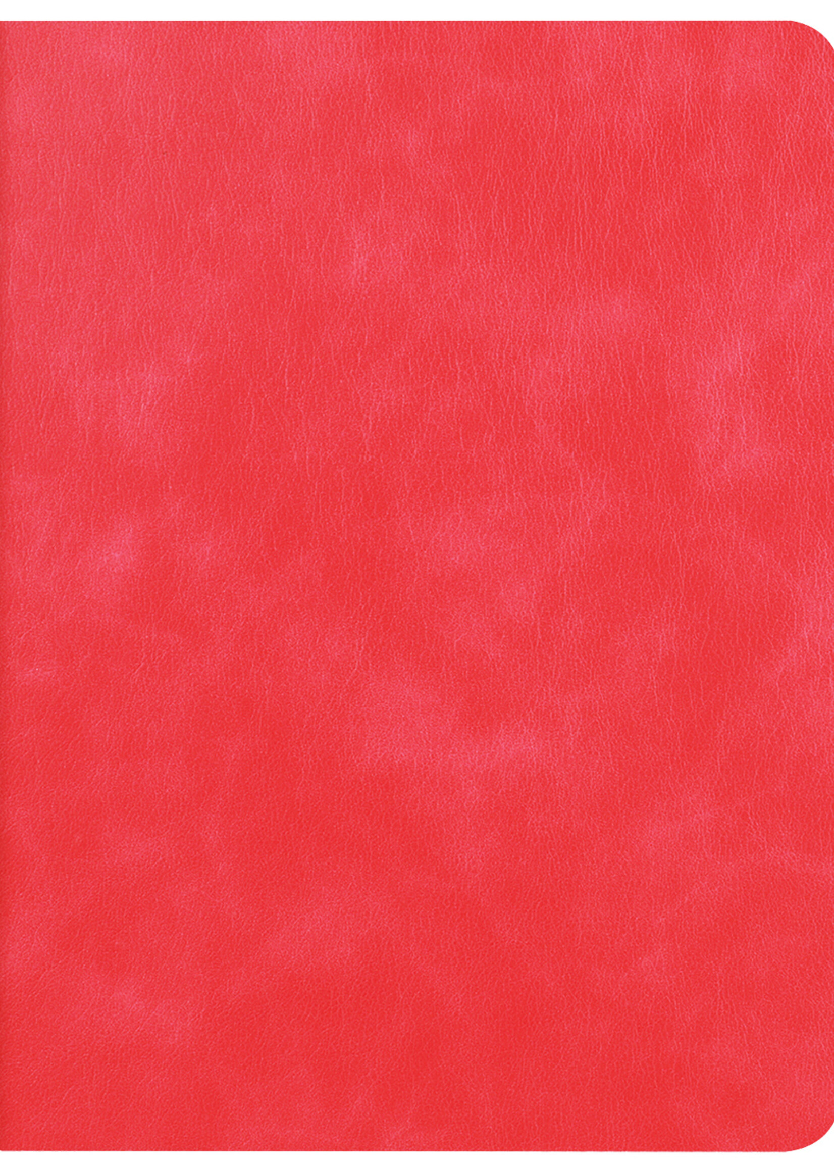 BTH iPad 10.2 2021 Hoesje Book Case Luxe Cover Hoes Met Uitsparing Apple Pencil - iPad 10.2 2021 Hoes Bookcase - Rood