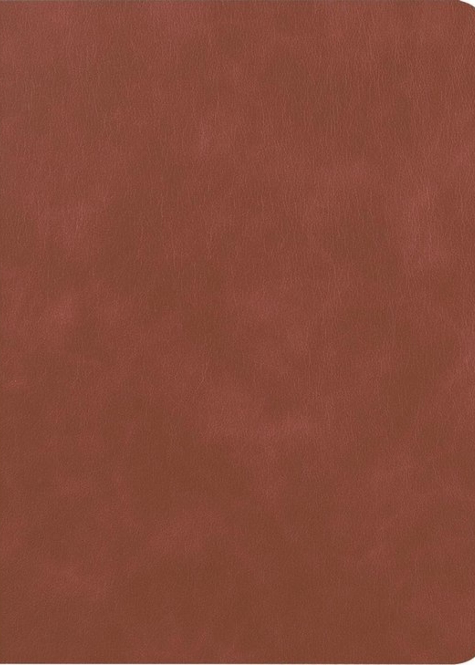 LUQ Hoes Geschikt voor iPad 10.2 2019 Hoes Luxe Hoesje Book Case Cover Met Uitsparing Geschikt voor Apple Pencil - Hoesje Geschikt voor iPad 7 Hoesje Bookcase - Bruin