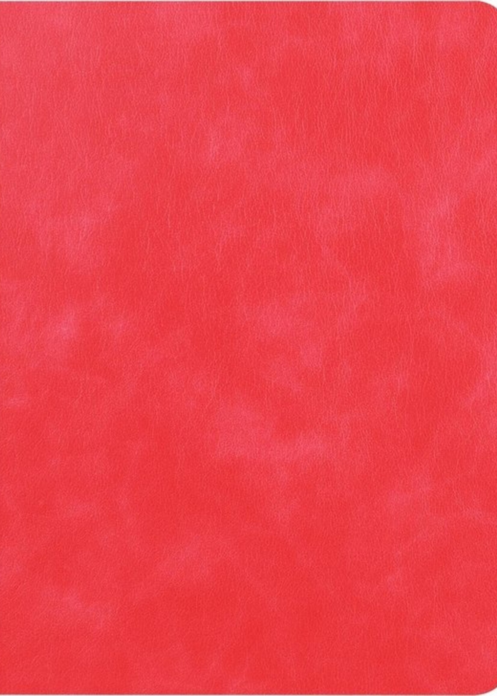 LUQ Hoes Geschikt voor iPad 10.2 2019 Hoes Luxe Hoesje Book Case Cover Met Uitsparing Geschikt voor Apple Pencil - Hoesje Geschikt voor iPad 7 Hoesje Bookcase - Rood