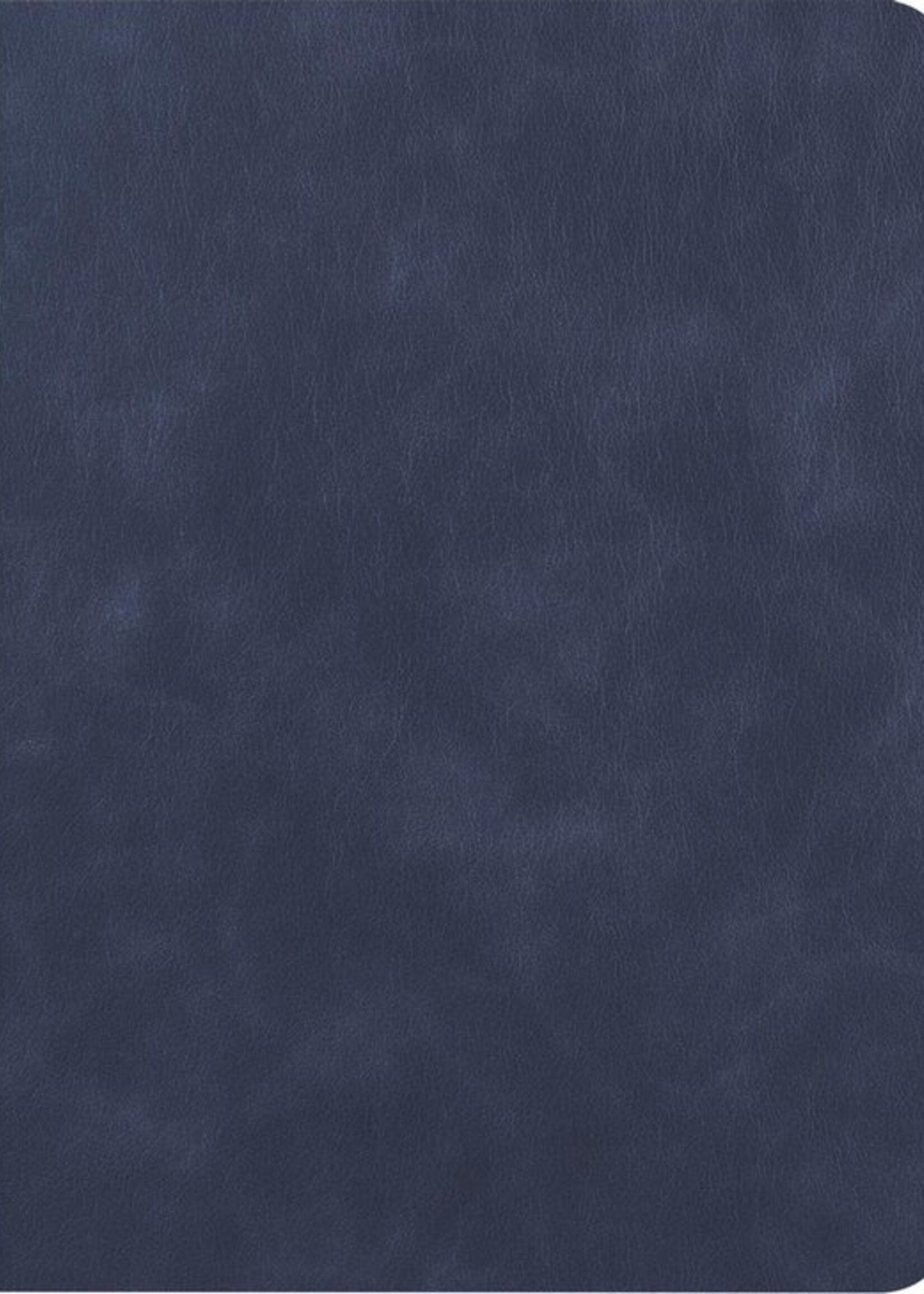 LUQ Hoes Geschikt voor iPad 10.2 2019 Hoes Luxe Hoesje Book Case Cover Met Uitsparing Geschikt voor Apple Pencil Met Screenprotector - Hoesje Geschikt voor iPad 7 Hoesje Bookcase - Donkerblauw