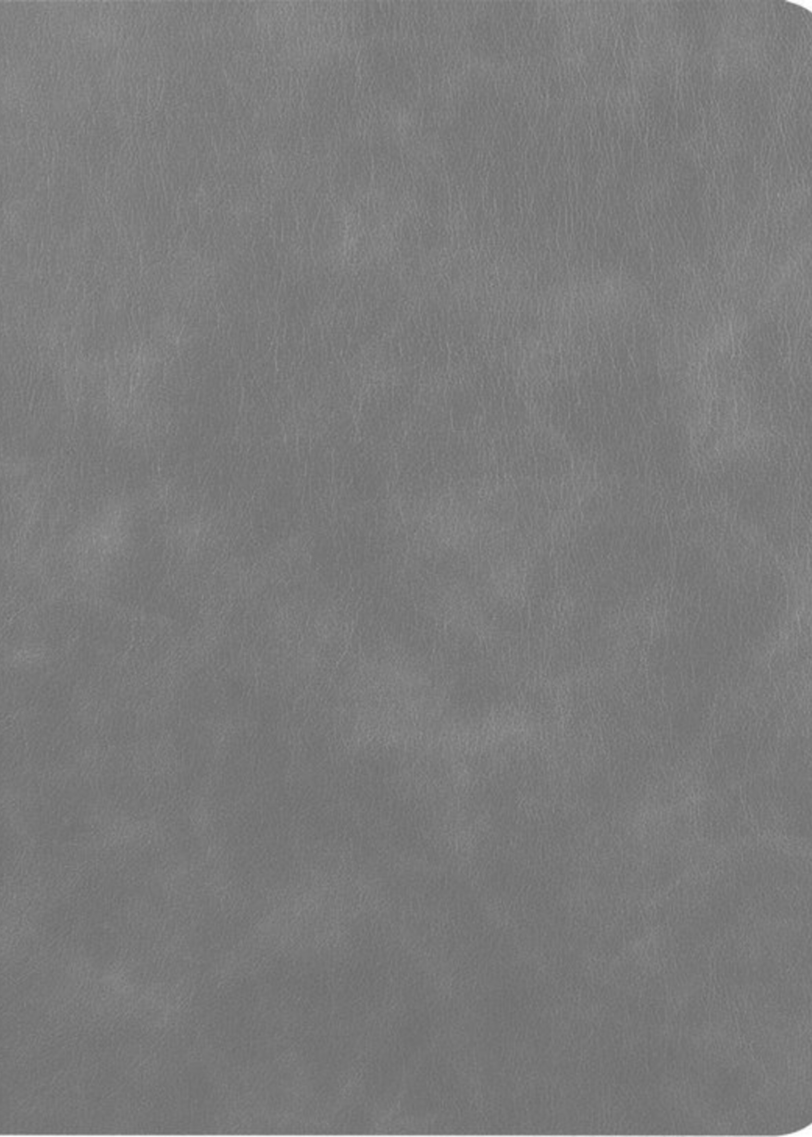 LUQ Hoes Geschikt voor iPad 10.2 2019/2020 Hoes Luxe Hoesje Book Case Cover Met Uitsparing Geschikt voor Apple Pencil - Hoesje Geschikt voor iPad 7/8 Hoesje Bookcase - Grijs