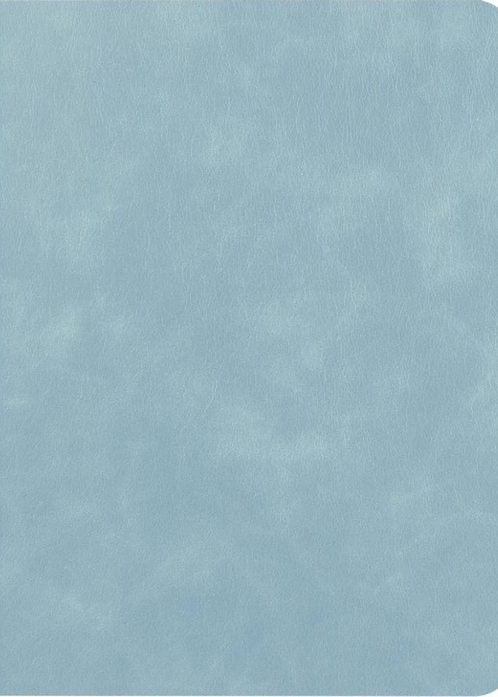 LUQ Hoes Geschikt voor iPad 10.2 2019/2020 Hoes Luxe Hoesje Book Case Cover Met Uitsparing Geschikt voor Apple Pencil - Hoesje Geschikt voor iPad 7/8 Hoesje Bookcase - Lichtblauw