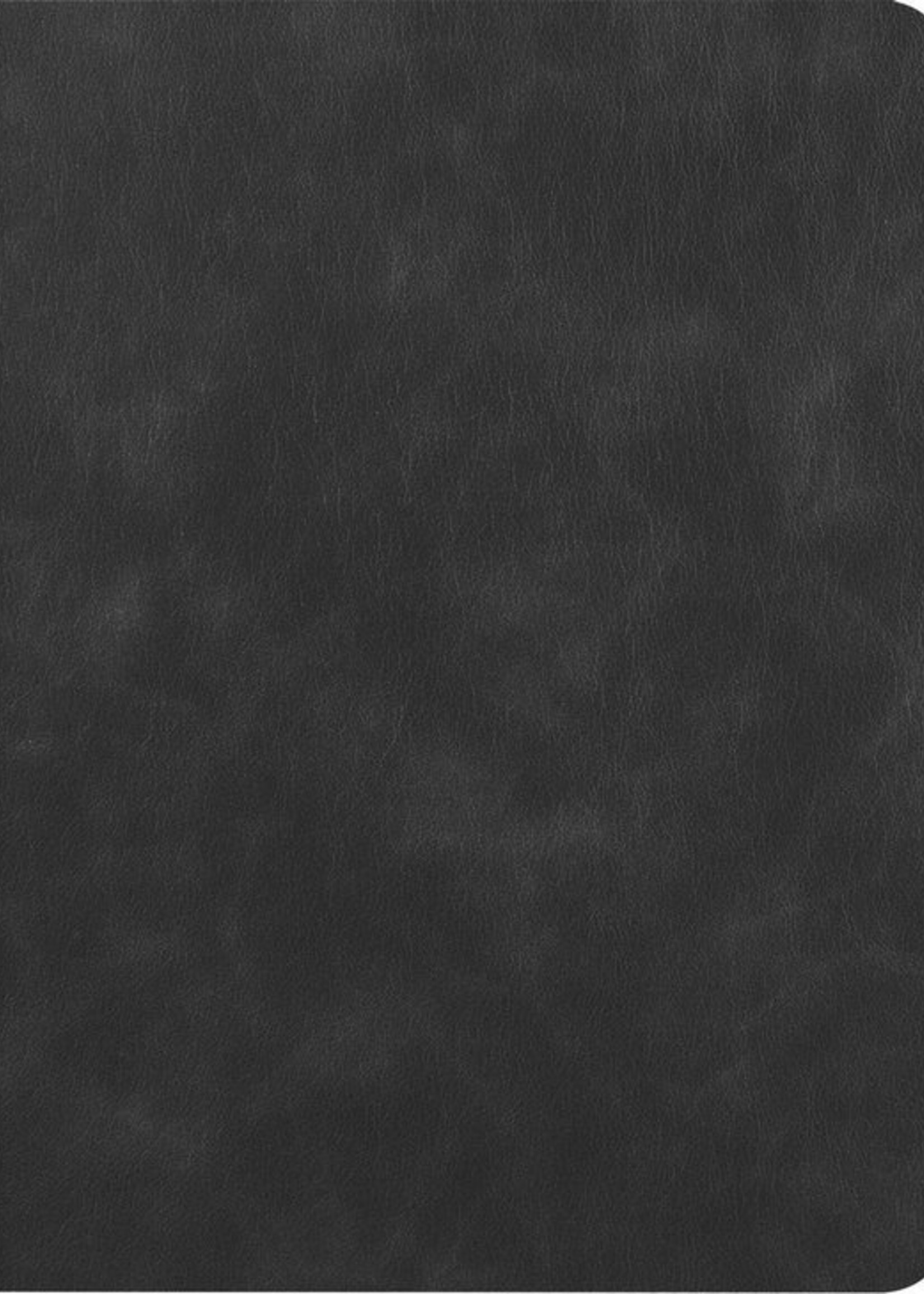 LUQ Hoes Geschikt voor iPad 10.2 2019/2020 Hoes Luxe Hoesje Book Case Cover Met Uitsparing Geschikt voor Apple Pencil - Hoesje Geschikt voor iPad 7/8 Hoesje Bookcase - Zwart