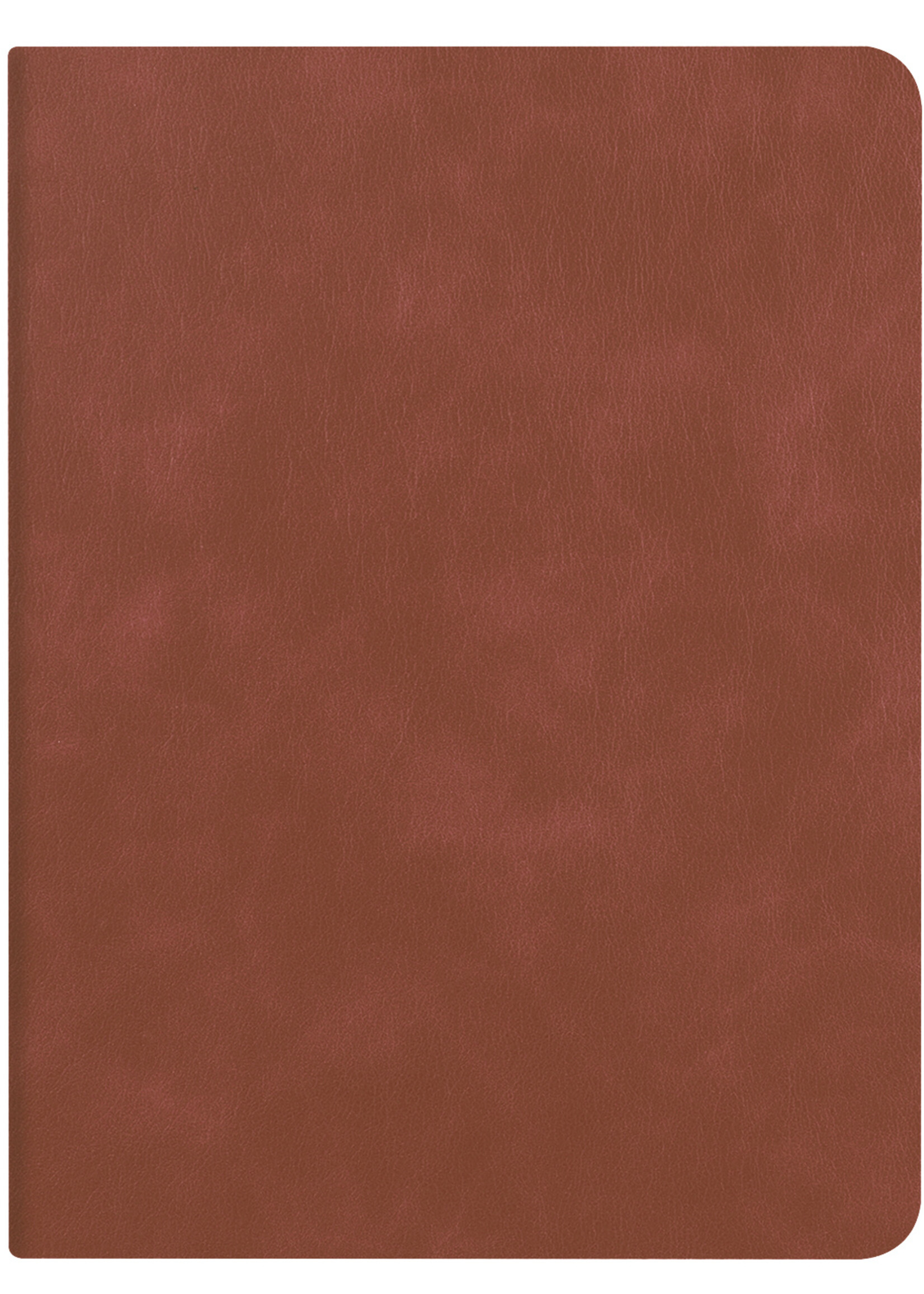 LUQ Hoes Geschikt voor iPad 10.2 2021 Hoes Luxe Hoesje Book Case Cover Met Uitsparing Geschikt voor Apple Pencil - Hoesje Geschikt voor iPad 9 Hoesje Bookcase - Bruin