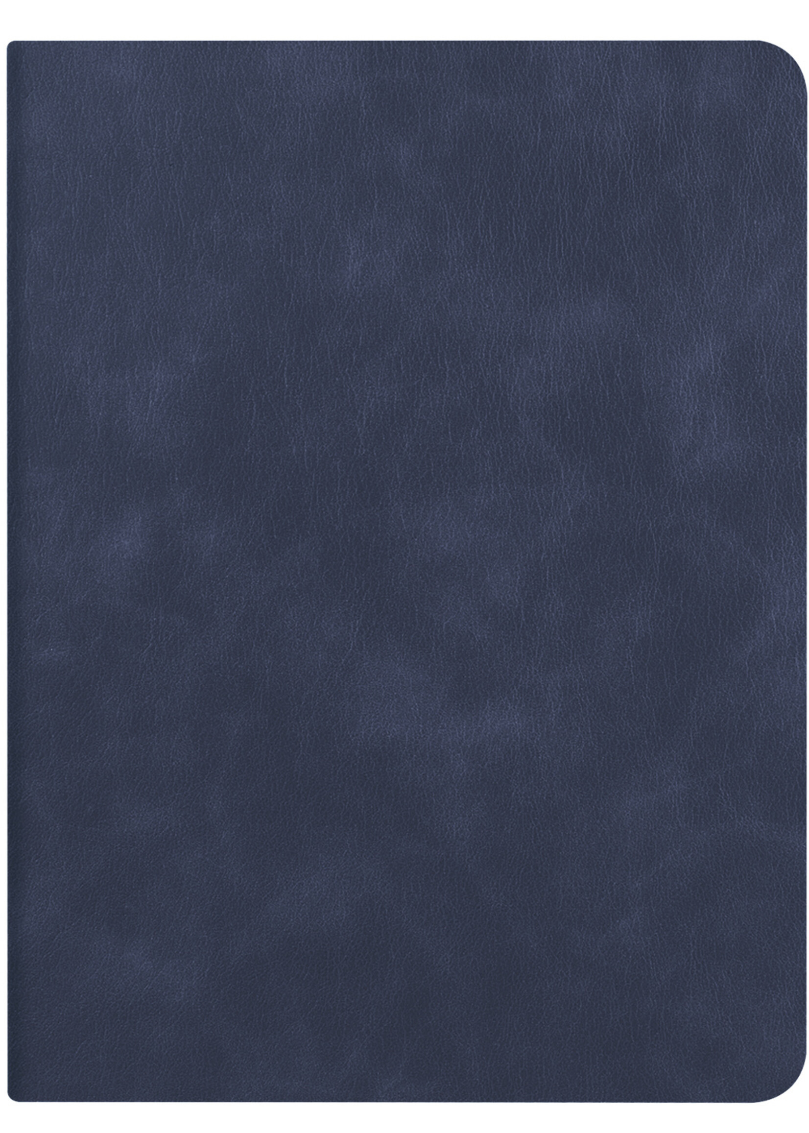 LUQ Hoes Geschikt voor iPad 10.2 2021 Hoes Luxe Hoesje Book Case Cover Met Uitsparing Geschikt voor Apple Pencil - Hoesje Geschikt voor iPad 9 Hoesje Bookcase - Donkerblauw