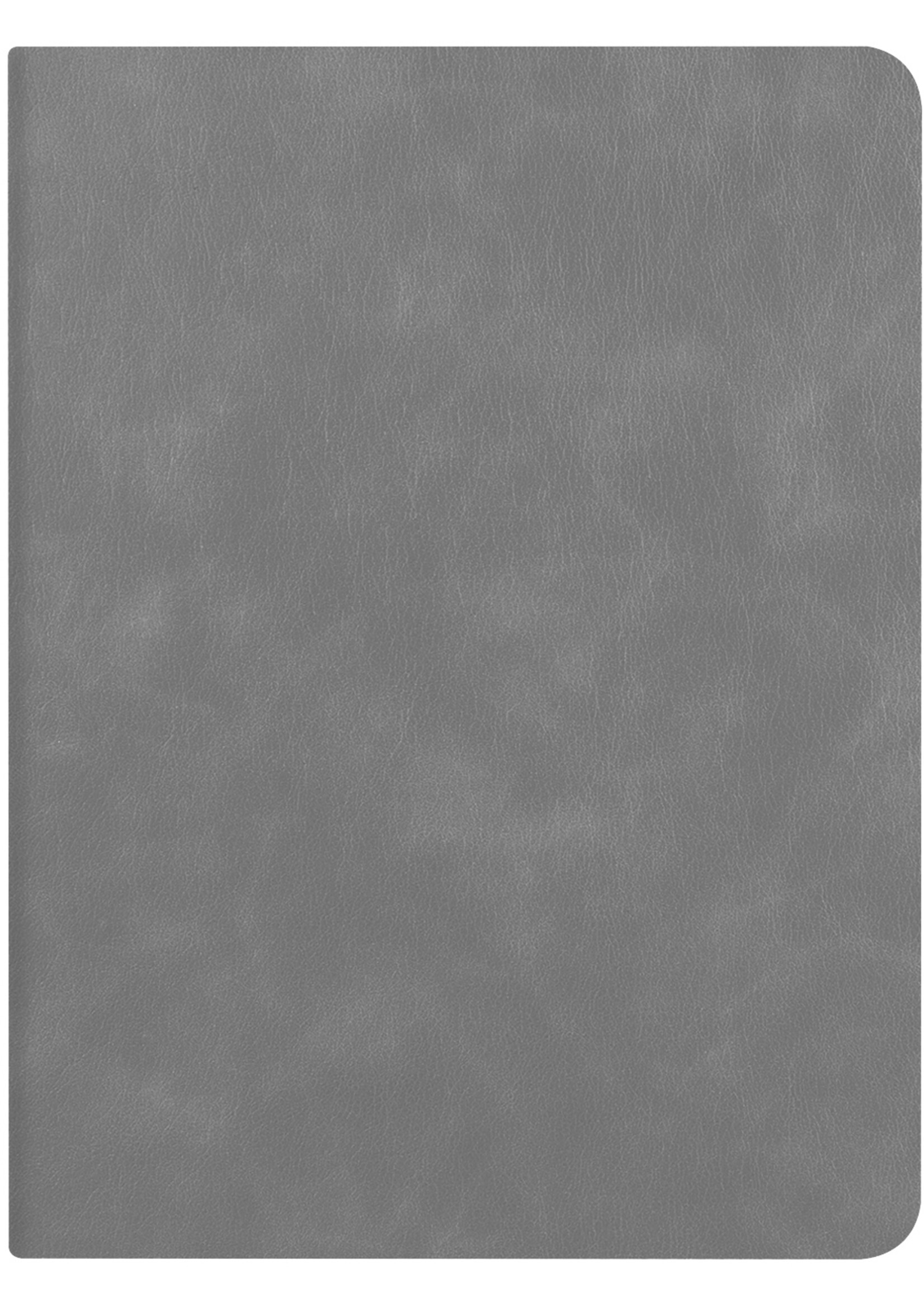 LUQ Hoes Geschikt voor iPad 10.2 2021 Hoes Luxe Hoesje Book Case Cover Met Uitsparing Geschikt voor Apple Pencil - Hoesje Geschikt voor iPad 9 Hoesje Bookcase - Grijs