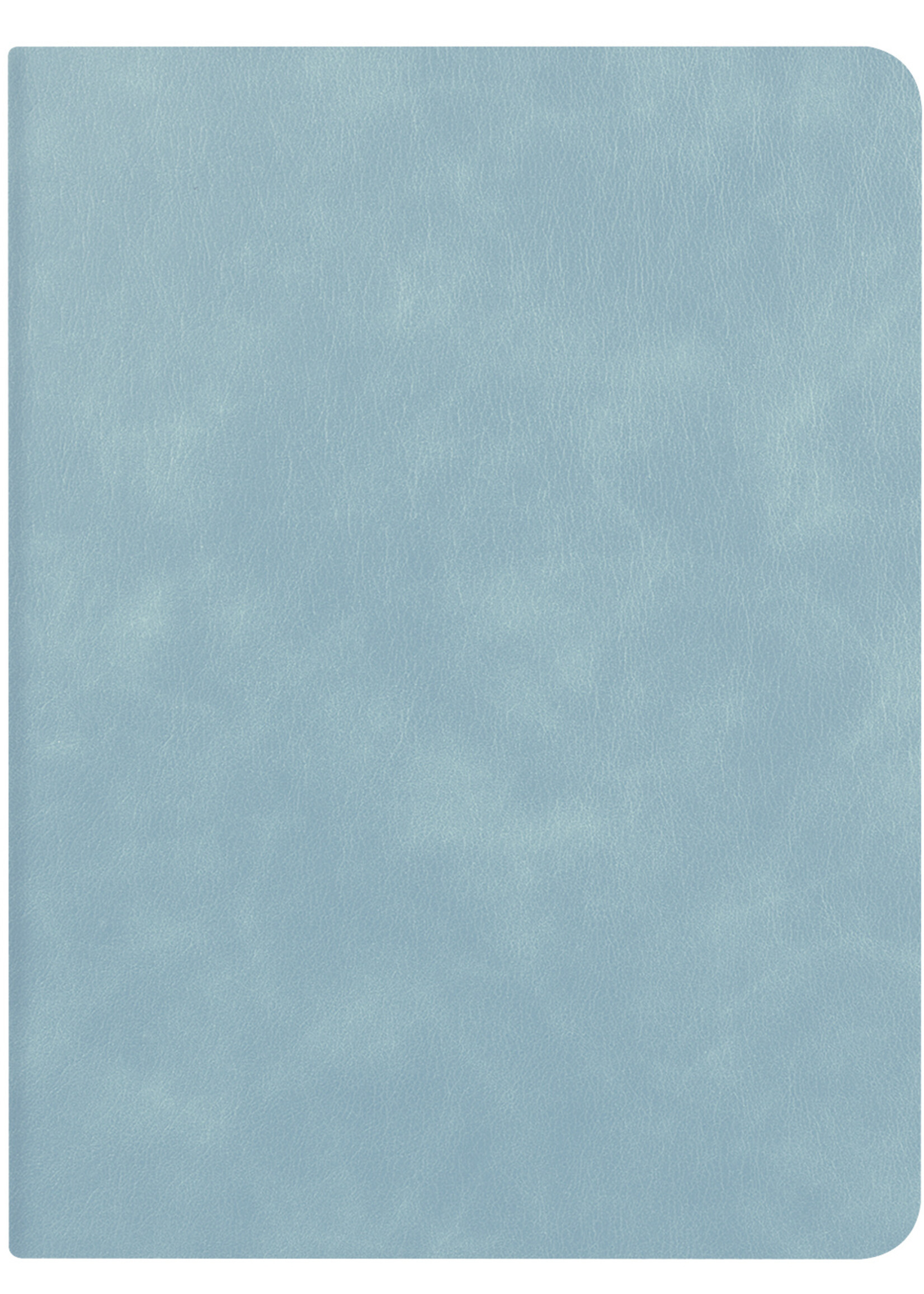 LUQ Hoes Geschikt voor iPad 10.2 2021 Hoes Luxe Hoesje Book Case Cover Met Uitsparing Geschikt voor Apple Pencil - Hoesje Geschikt voor iPad 9 Hoesje Bookcase - Lichtblauw