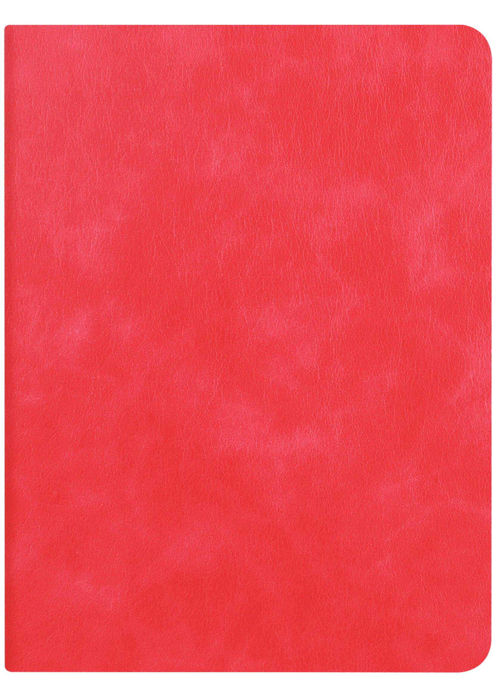 LUQ Hoes Geschikt voor iPad 10.2 2021 Hoes Luxe Hoesje Book Case Cover Met Uitsparing Geschikt voor Apple Pencil - Hoesje Geschikt voor iPad 9 Hoesje Bookcase - Rood