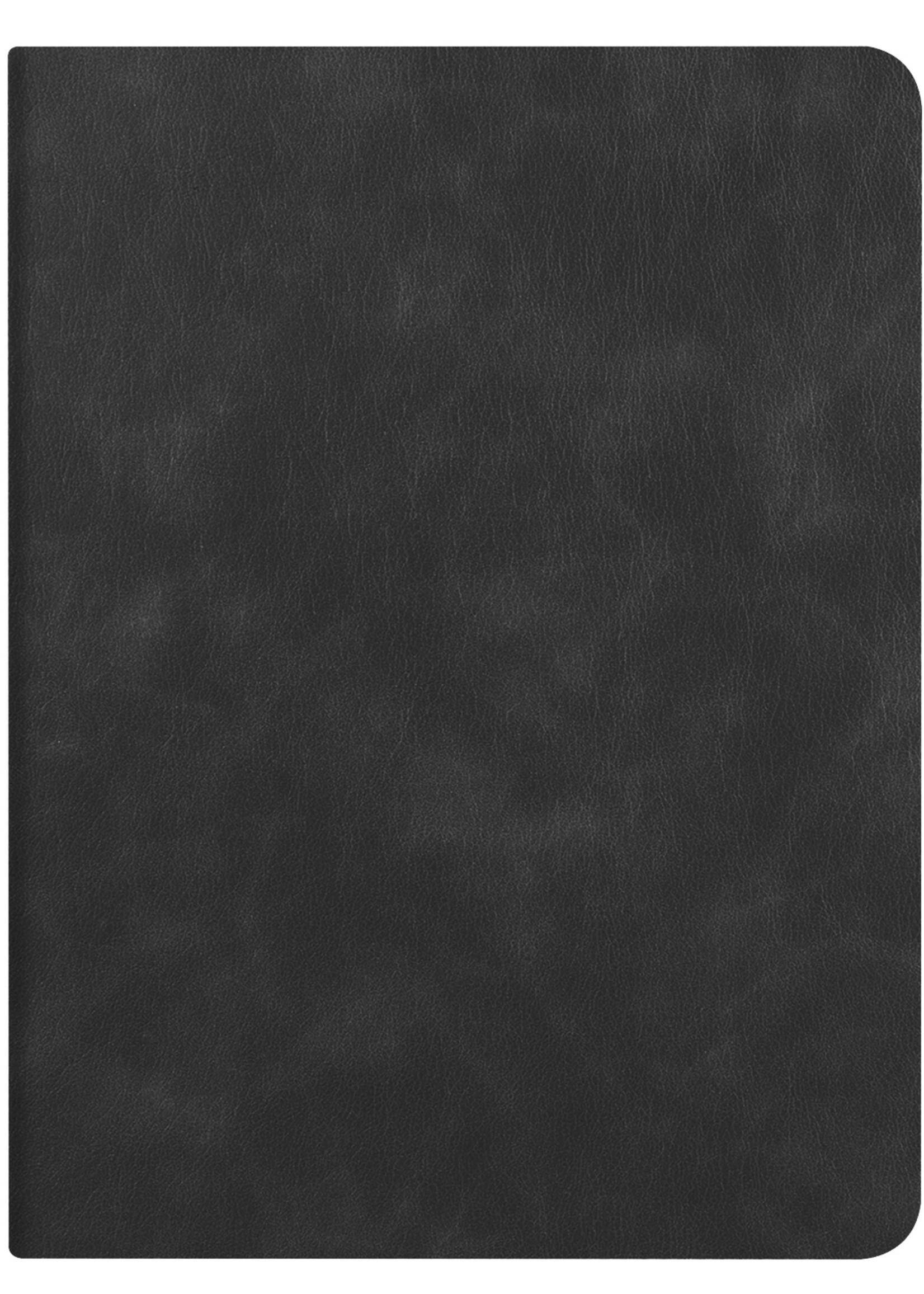 LUQ Hoes Geschikt voor iPad 10.2 2021 Hoes Luxe Hoesje Book Case Cover Met Uitsparing Geschikt voor Apple Pencil - Hoesje Geschikt voor iPad 9 Hoesje Bookcase - Zwart