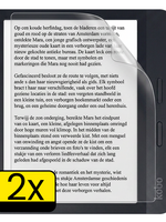 LUQ LUQ Kobo Sage Schermfolie - 2 stuks