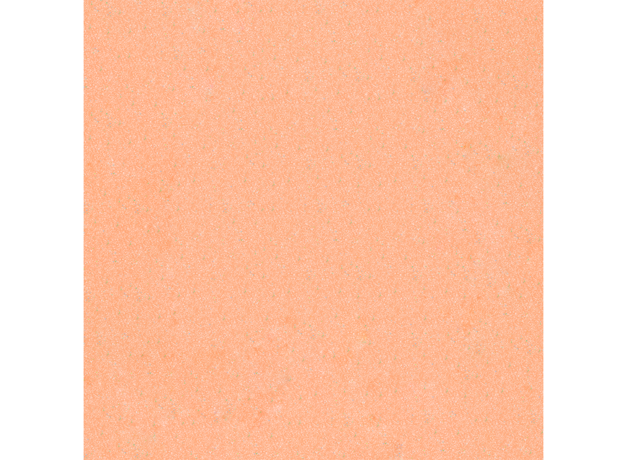 BO.NAIL Dip #010 Just Peachy