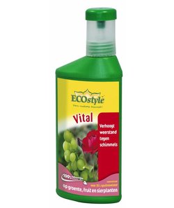 Vital 250 ml concentraat