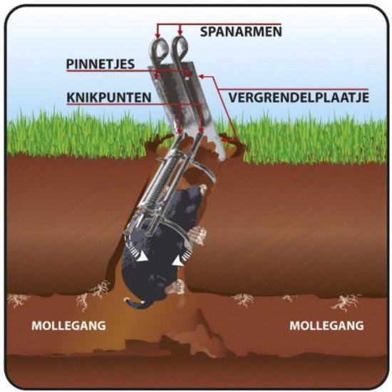 Podal mollenklem Mini