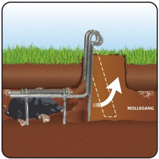 Podal mollenklem Mini