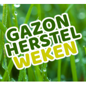 Gazon-herstel-weken