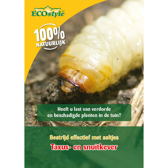 ECOstyle Koude aaltjes tegen larven taxuskever en snuitkever
