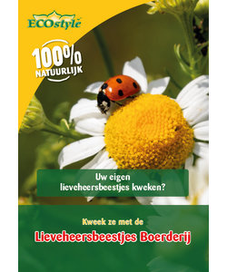 Lieveheersbeestjes Boerderij (adalia farm)