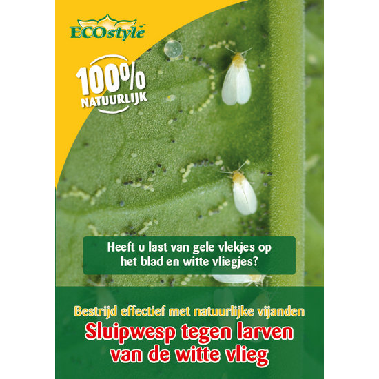 ECOstyle Sluipwesp tegen de larven van de witte vlieg (10 m²)