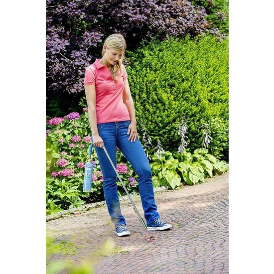 Gloria onkruidbrander Classic Bio