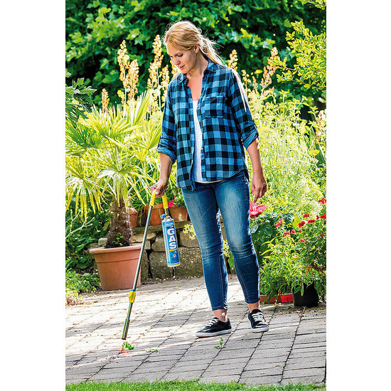 Gloria onkruidbrander Classic Bio