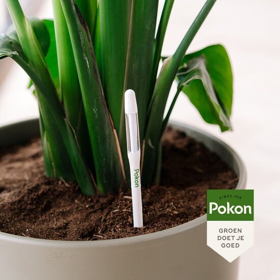 Pokon watermeter voor kamerplanten