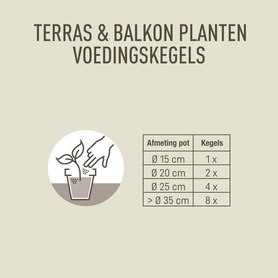 Pokon terras & balkon plantenvoedingskegels 10 stuks