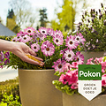 Pokon terras- & balkonplanten voedingskorrels 800 gram