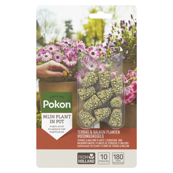 Pokon terras & balkon plantenvoedingskegels 10 stuks