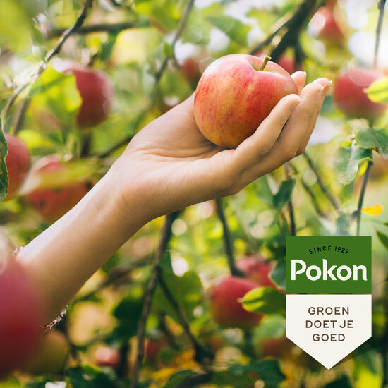 Pokon bio fruitbomenmest 1kg