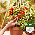 Pokon bio moestuinvoeding 500ml