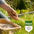 Pokon bio kalk 5kg