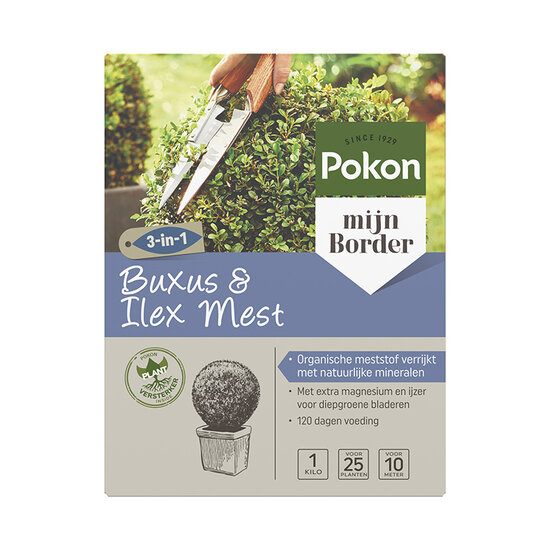 Pokon buxus & ilex mest 1kg