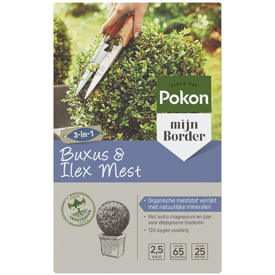 Pokon buxus & ilex mest 2,5kg